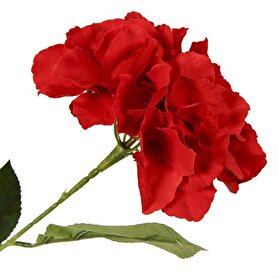 Vitale Ortanca Çiçeği Kırmızı 60 Cm Ak.bg0134-k | Decoverse