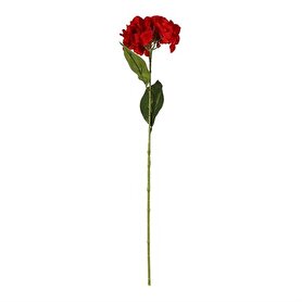 Vitale Ortanca Çiçeği Kırmızı 60 Cm Ak.bg0134-k | Decoverse