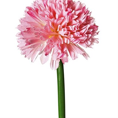 Vitale Pembe Kadife Çiçeği 62 Cm Ak.bg0120-ap | Decoverse