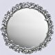  Clove Ayna Gümüş